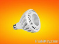 LED PAR30 10W/15W Bulb