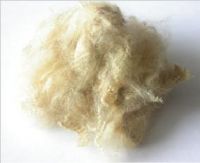sell polyester fiber from judy