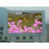 Sell Color LED Display (P25)
