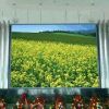Sell Indoor Full Color LED scree-P10mm