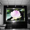 Sell Indoor Full Color LED Display-P5mm