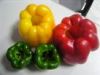 IQF Bell Peppers