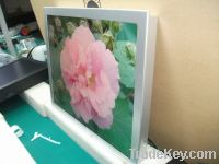 19 inch digital notice board