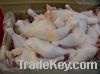 US Chicken Leg Quarters (Frozen)