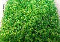 Sell Artificial grass for Golf court