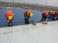 1.2mm 1.5mm PVC waterproof membrane for roofing