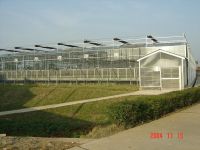 Glass Multi-span Greenhouse