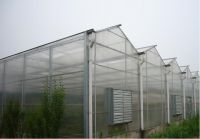 Sell PC Sheet Multi-span Greenhouse
