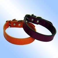 Pet Collars