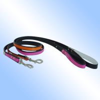 Pet Leashes