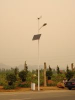 Sell Solar  Wind Street Light SS-001