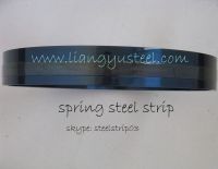 Sell blue spring steel