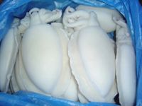 Sell Cuttlefish Cleaned and Whole