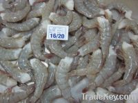 Sell Squid  Cuttlefish  Octopus  Vannamei  Ribbonfish  I Mackerel