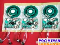 Sell talking greeting card sound module