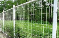 wire mesh fences