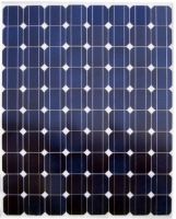 Sell  solar spanl