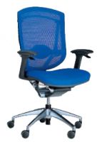 Sell manager mesh chairs(blue)