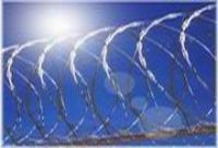 Sell Razor Barbed Wire