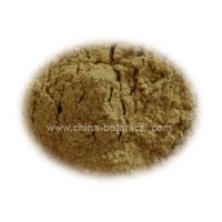 Sell Soy Isoflavon, Nature Soybean Extract