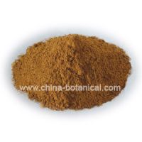 Sell ginkgo biloba Extract Powder