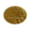 Wholesale Astragalus Extract Powder