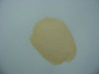 Whosesale  Dried Honey Powder