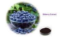 Wholesale Bilberry Extract Powder 10%, 25%