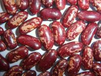 Sell Purple Speckied kidney beans