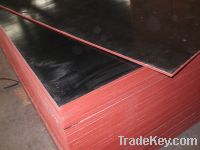 Sell black film faced plywood two time pressed