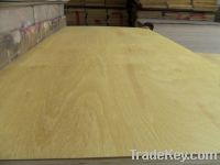 Sell yellow hardwood plywood