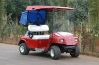 two seater golf cart