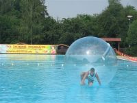 Sell water walking ball zorb ball roller inflatable ball air ball wat