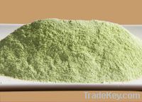 Pure Hoodia Gordonii Powder