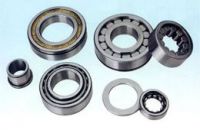 Cylindrical Roller Bearings