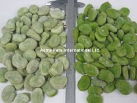 Sell IQF Broad Beans
