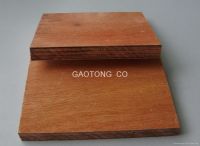 Sell red hardwood plywood