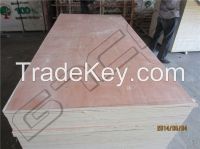 Sell packing plywood with cheap price