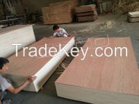 Sell bintangor plywood