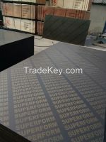 Sell Film faced marine plywood