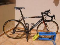 Wilier Le Roi Full Carbon Road Bike with Campag Record