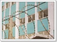 Sell Barbed fence wire mesh