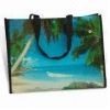 Sell Waterproof Color Printed PE Bag with Webbing Handles and PVC