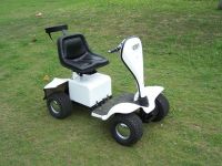 Sell GOLF BUGGY WITTH POWERFUL MOTOR