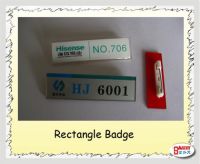 Provide Plastic Badge