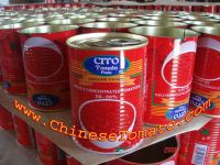 Sell Canned Tomato Paste-workshop