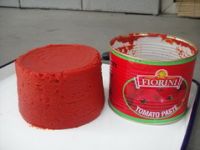 export canned tomato paste