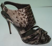 Lady Fashion Shoe