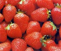 Sell IQF Strawberry