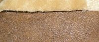 Sell Sheepskin Leather